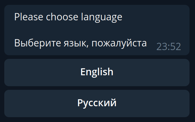 Меню выбора языка
